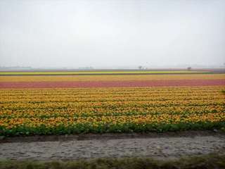 BeNeLux0900 08 15-09_R600.jpg