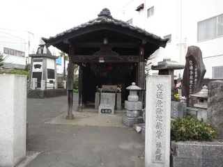 koutuyakuyokejizouson.jpg