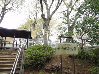 soronokikouen.jpg